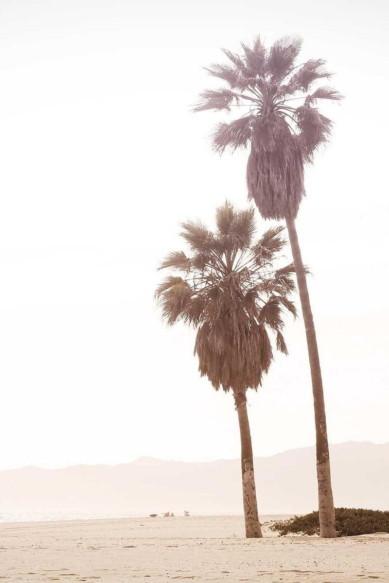 SAVANNAH — 3