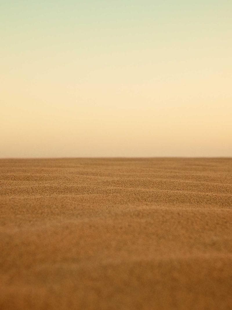 NARA — Thai escort in bangkok — 4